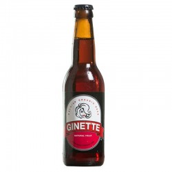 GINETTE NATURAL FRUIT BIO 33CL