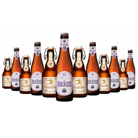 BOX DECOUVERTE BIO BRASSERIE DES LEGENDES 6*2*33CL