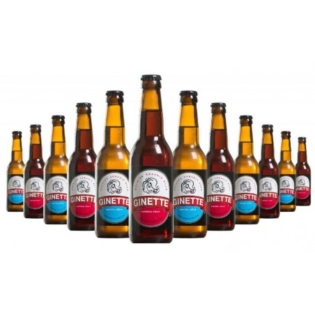 BOX DECOUVERTE BIO BRASSERIE GINETTE 2*6 33CL N°2