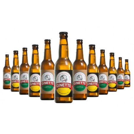 BOX DECOUVERTE BIO BRASSERIE GINETTE 2*6 33CL N°3