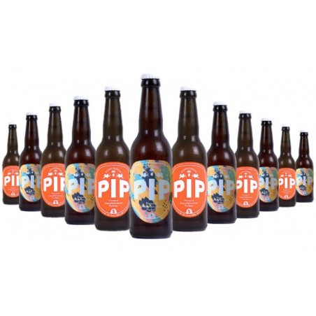 BOX DECOUVERTE BIO BRASSERIE PIP 2*6 33CL N°3