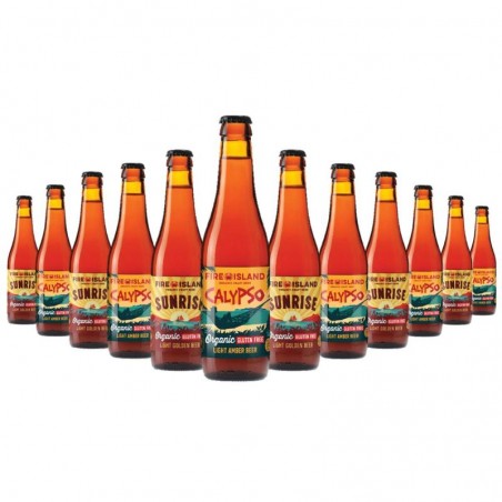 BOX DECOUVERTE BIO FIRE ISLAND 2*6 33CL N°2