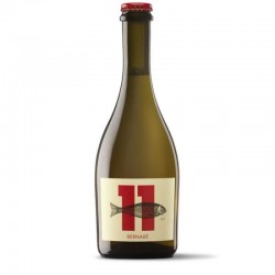 MATEO Y BERNABE : BERNABE...