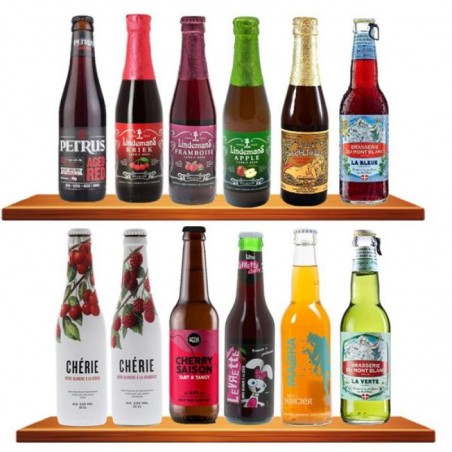 BOX DECOUVERTE TYPE FRUITE / AROMATISE X12 BIERES