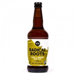 LITTLE VALLEY RADICAL ROOTS...