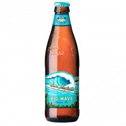KONA BIG WAVE 35.5CL