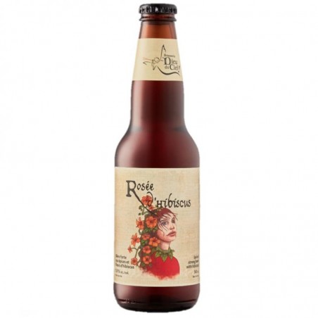 DIEU DU CIEL ROSE D HIBISCUS 33CL