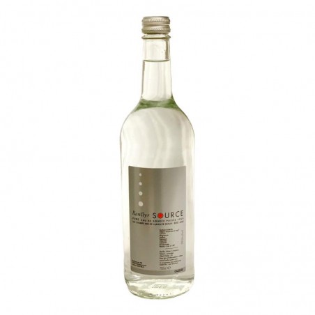 LLANLLYR EAU GAZEUSE 75CL