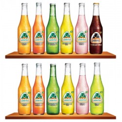 ASSORTIMENT 12 JARRITOS...