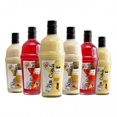 ASSORTIMENT COCKTAILS DU MONDE PRÊTS-À-BOIRE 6*70CL