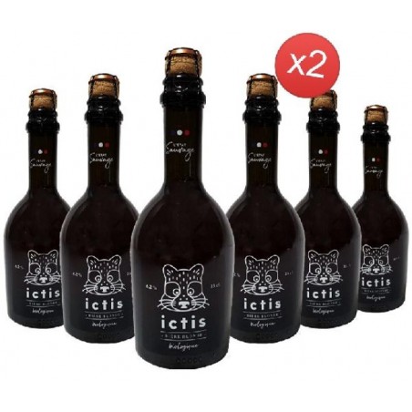 ICTIS BIO 12*33CL