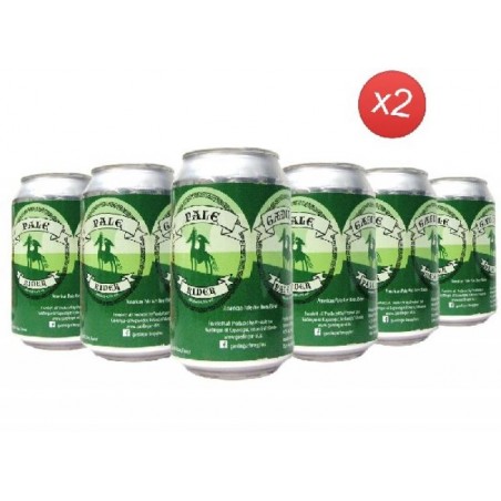 GAEDINGUR PALE RIDER 12*33CL CAN