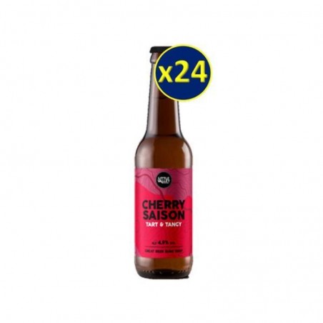 LITTLE VALLEY CHERRY SAISON BIO 24*33CL