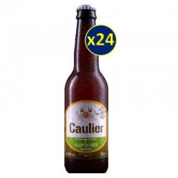 CAULIER 28 GLUTEN FREE 24*33CL