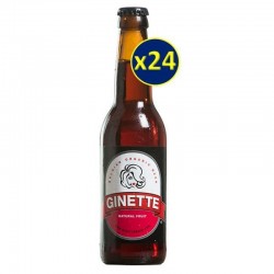 GINETTE FRUIT BIO 24*33CL