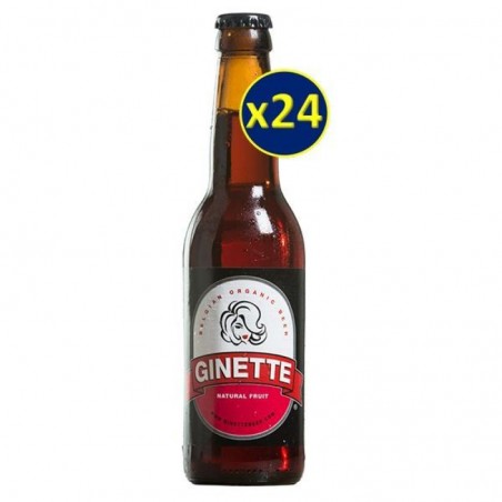 GINETTE FRUIT BIO 24*33CL