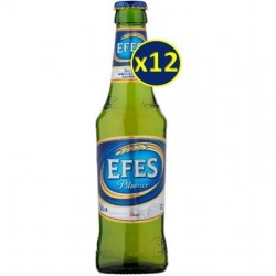 SAISON VOISIN 12*33CL