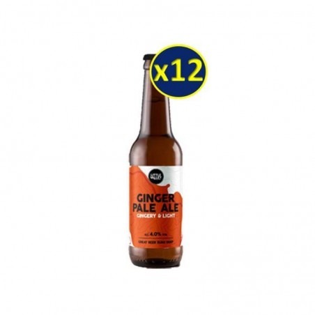 RADICAL ROOTS GINGER PALE ALE BIO 12*33CL