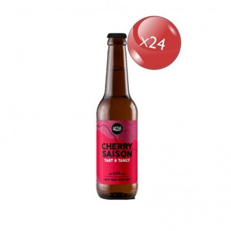 LITTLE VALLEY CHERRY SAISON BIO 24*33CL