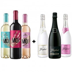 FREIXENET KIT VINS & BULLES...