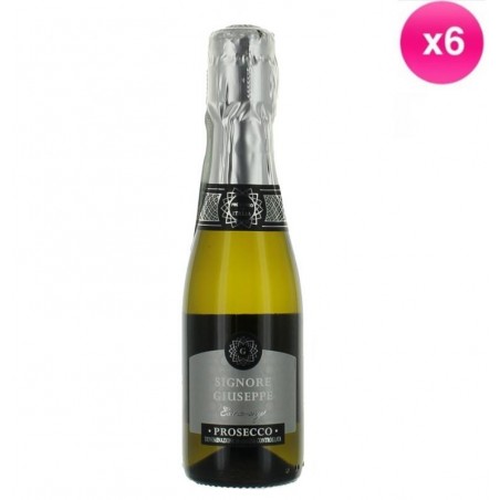 PROSECCO SPUM.DOC GIUSEPPE 6*20CL