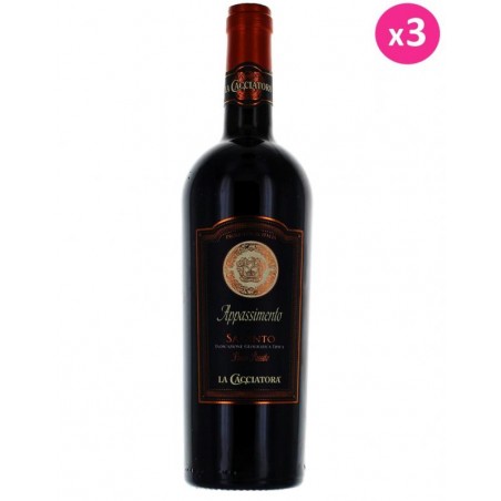 SALENTO IGT ROSSO PASSITO 3*75CL