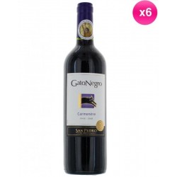 GATO NEGRO CAMENERE 6*75CL