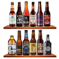 BOX 12 BIERES CRAFTS (MP)