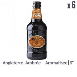 ROBINSONS OLD TOM GINGER...