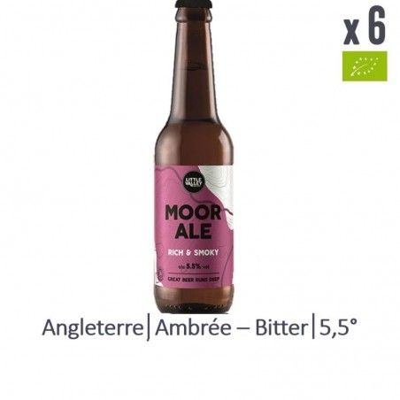 LITTLE VALLEY MOOR ALE BIO 6*33CL