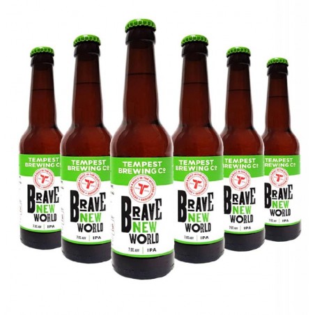 TEMPEST BREWING BRAVE NEW WORLD 6*33CL