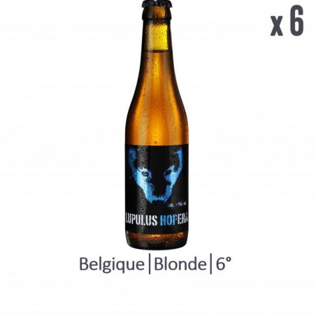 LUPULUS HOPERA 6*33CL