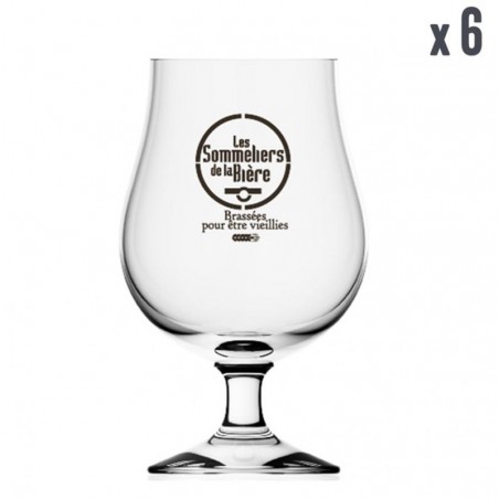 VERRE SOMMELIERS DE LA BIERE 6*50CL