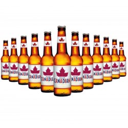 MOLSON CANADIAN 12*33CL
