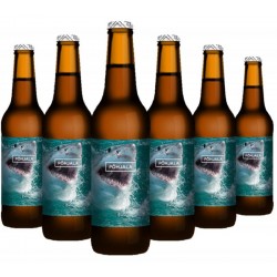 POHJALA UUS MAAILM 6*33CL