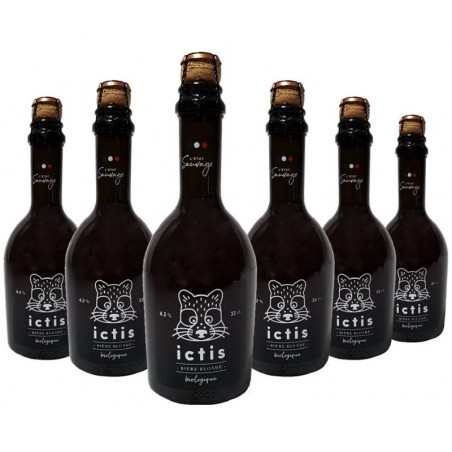 ICTIS BIO 6*33CL
