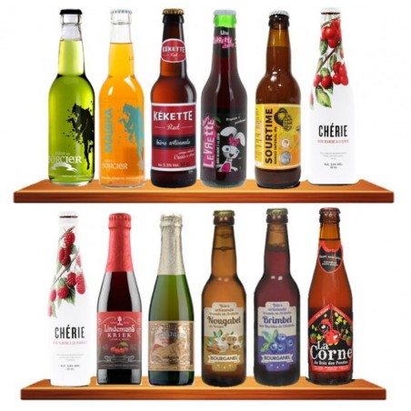 ASSORTIMENT 12 BIÈRES FRUITÉES / AROMATISÉES 33C