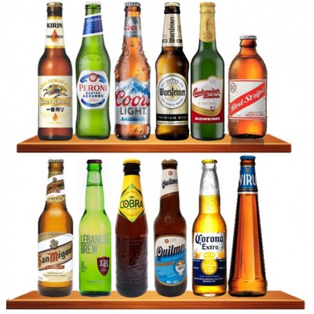 BOX DECOUVERTE 12 BIERES DE TYPE LAGER/PILSNER 12*33CL