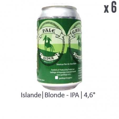 GAEDINGUR PALE RIDER 6*33CL CAN