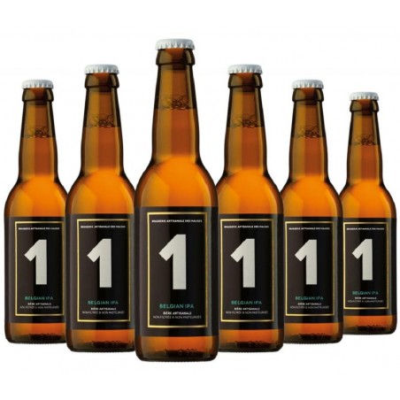 THE ONE BELGIAN IPA 6*33CL