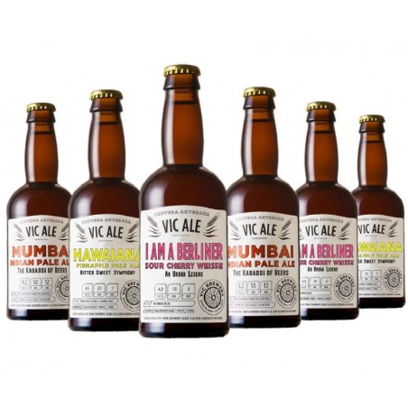 BOX DECOUVERTE BRASSERIE VIC 6*33CL