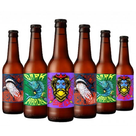 BOX DECOUVERTE BRASSERIE FRENCH CORSAIR 6*33CL