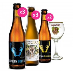 BOX LUPULUS - 2*3*33CL +...