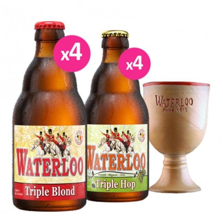BOX WATERLOO - 2*4*33CL + 1 VERRE