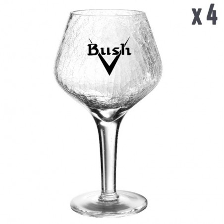 PACK VERRES BUSH - 4*33CL