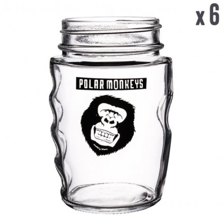 PACK VERRES POLAR MONKEY *6
