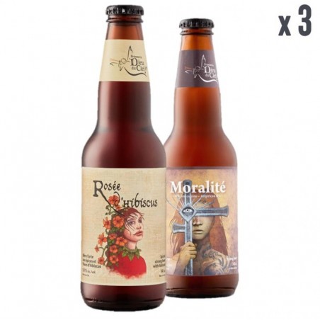 BOX DECOUVERTE BRASSERIE DIEU DU CIEL 6*33CL