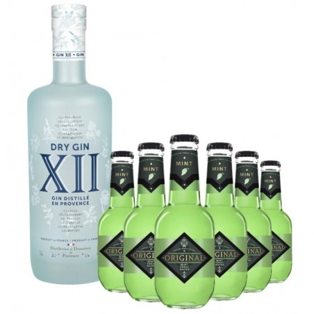 BOX GIN XII 1*70CL + TONIC MINT 6*20CL